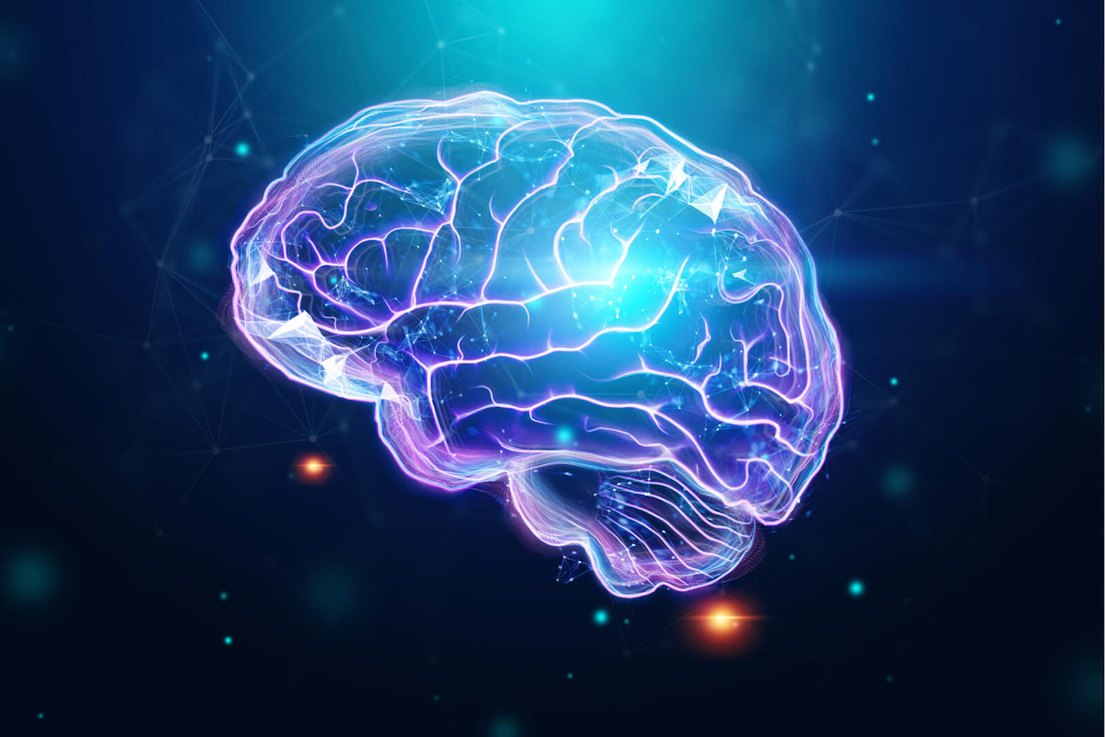 UNLV Study Reveals Breakthrough In Understanding Our Brain s Ability To UNLV Study Reveals Breakthrough In Understanding Our Brain s Ability To